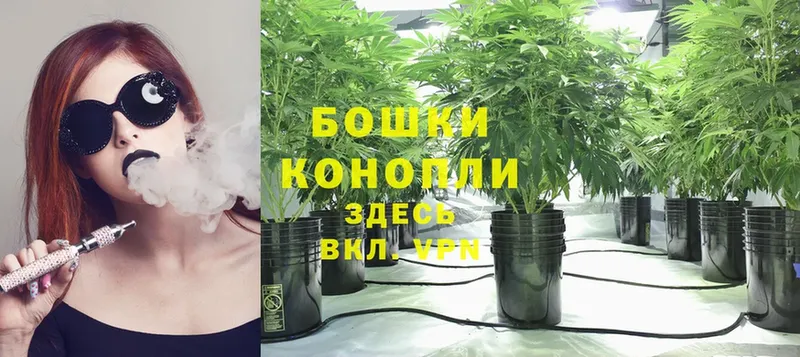 Шишки марихуана Ganja  сколько стоит  Невельск 